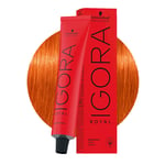 Schwarzkopf Igora Royal 8-77 Extra Copper Light Blonde 60ml