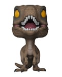 Funko POP! Movies: Jurassic Park - Velociraptor - Collectable Vinyl Figure - ...