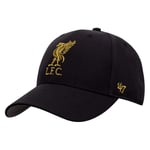 Liverpool Keps Metallic Snap '47 MVP - Svart, storlek One Size Adult