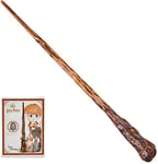 Spin Master Baguette Magique Harry Potter 30cm - Modèle Choisi aléatoirement