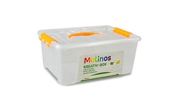 MALINOS 301010 Petite boîte en Plastique Transparent 29,5 x 20 x 11,7 cm