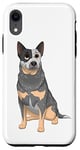 Coque pour iPhone XR Blue Australian Battle Dog Blue Heeler