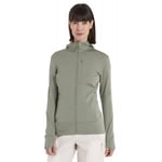 icebreaker Merino 260 Quantum IV LS Zip Hoodie - Sweatshirt en laine mérinos femme Lichen S