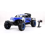 LOSA 2WD RC Petrol Buggy,1/5 Gas Off Road Car Toy with 36CC Gasoline Engine for Adult,2.4G Radio Controller Included,Blue