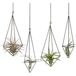 Support de Plante à Air Suspendu - Paquet 4, 2 Tailles en MéTal Tillandsia Hanger Planter Himmeli avec ChaîNes