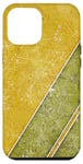 iPhone 12 Pro Max Vintage Distressed Abstract Earthtones Art Pattern Case