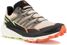 Salomon Thundercross M Chaussures homme