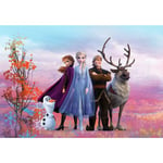 Papier Peint Photo La Reine des Neiges 2 Disney Anna Elsa Olaf Sven Kristoff tous ensemble 368cm x 254cm