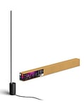 Philips Hue Gradient Signe Floor Lamp