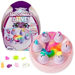 Hatchimals Collectible RS Rainbow Hatchery