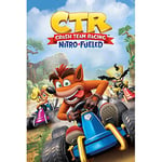 Pyramid International Poster Crash Bandicoot Team Racing - 91 x 61 cm