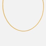 Astrid & Miyu Snake Chain Gold-Plated Necklace