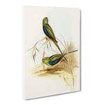 Blue Banded Grass Parakeet Birds By Elizabeth Gould Vintage Canvas Wall Art Print Ready to Hang, Framed Picture for Living Room Bedroom Home Office Décor, 24x16 Inch (60x40 cm)