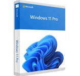 Windows 11 Pro (64bit OEM)