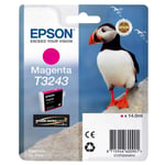 Epson Ink Cartridge for SureColor SC-P400 T3243 Magenta C13T32434010