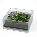 LANDEN Aquarium à air en Verre Multi-scènes, Aquarium paysager, réservoir Peu Profond en Fer, 27 x 27 x 12 cm, 5 mm d'épaisseur