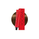 Coloration IGORA ROYAL 6-4 Blond foncé Beige 60ml