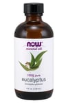 NOW Foods - Essential Oil, Eucalyptus Oil - 118 ml.