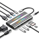 Station d'accueil, ORICO 12 en 1 RGB USB C Docking Station, avec 4K HDMI, PD 100W, Ethernet, 4 USB 3.0, SD/TF, VGA, Audio 3,5 mm, 14 Modes d'éclairage RGB, USB Hub compatibles pour Windows/Mac OS