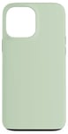 Coque pour iPhone 13 Pro Max Couleur menthe vert clair simple