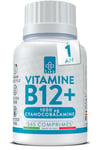 Vitamine B12 Vegan 1000mcg 365 Comprimés Piulife® 1 Par Jour, Vitamine B Cyanocobalamine, Complement Alimentaire Fatigue, Energie, Système Immunitaire, B12 Vitamine Bio