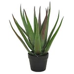 Nordic Furniture Group Aloeveraplanta med kruka svart H50 cm