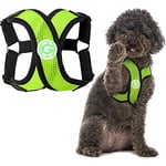 GOOBY Choke sans Confort x Step-in Harnais pour Chien, Taille L, Vert