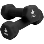 Premium Dumbbells 2 x 1 kg