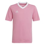 adidas Trenings T-skjorte Entrada 22 - Rosa/hvit Barn, størrelse 152 cm