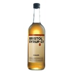 Bristol Syrups Co. Ginger Flavored Syrup Natural Ingredients Soft Drink X 1