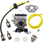 Dolaso - Kit de Carburateur pour al-ko Alko débroussailleuse BC410 BC4535 bc 4125 moteur de tondeuse à gazon Tuyau Filtre à Essence