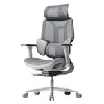 Hbada E3 Air Chaise de Bureau Ergonomique, Fauteuil de Bureau - avec Support Lombaire Dynamique à 3 Zones, Appui-tête Réglable en 3D, Accoudoirs Réglables en 3D, Gris