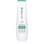 Biolage Essentials ScalpSync Anti - Dandruff Shampoo 250 ml