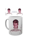 Aladdin Sane Mug