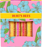 Burt's Bees Lip Balm Gift Set, Beeswax, Strawberry, Tropical Pineapple, Lemon,