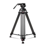 【Tilt Tension Design】 RAUBAY 70.8" Professional Heavy Duty Video Camera Tripod with Fluid Head and QR Plate for DSLR Camcorder, Max Loading 17.6lbs, Aluminum Twin Tube Leg with Mid-Level Spreader DV-1