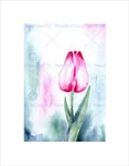 Wee Blue Coo TULIP FLOWER PINK WATERCOLOUR BLACK FRAME FRAMED ART PRINT PICTURE B12X9197