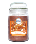 AIRPURE CANDLE GINGERBREAD 510g 120hr BURN TIME (Clean Burn Candle)