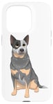 Coque pour iPhone 15 Pro Blue Australian Battle Dog Blue Heeler