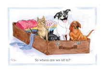 Cat & Dogs Off On Their Travels Alison's Animals Cartoon Greeting Card Funny