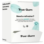 True Gum - White Mini Pack - 6 g