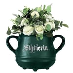 Harry Potter - Chaudron Serpentard - Pot De Fleur Mural