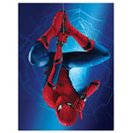 Spider-Man WDC100029 Toile Imprimée, Multicolore, 60 x 80 cm