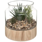 Atmosphera Créateur D'intérieur - Plante artificielle terrarium pot verre H17,5cm