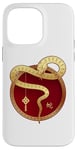 iPhone 14 Pro Max Zen Taiji Lucky Money Red Pocket Snake Year Pj ART ON BACK Case