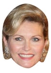 FoxyPrinting Fiona Fullerton Celebrity Cardboard Party Face Mask Fancy Dress