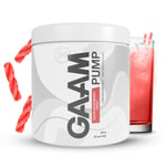 Gaam Pump Pwo 300 G