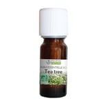 Huile Essentielle de Tea Tree Bio - Melaleuca alternifolia leaf oil - 10 ml - PROPOS'NATURE