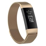 JIAOCHE Stainless Steel Magnet Wrist Strap for FITBIT Charge 4， Large Size: 210x18mm(Black) (Color : Champagne Gold)