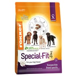 Fokker Dog Special-Fit 4 koiranruoka - 13 kg